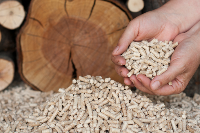 Hände halten Holzpellets vor einem Stapel gepresster Pellets, im Hintergrund sind geschnittene Holzstämme sichtbar.