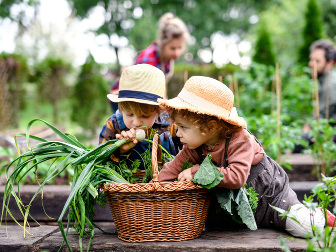 Kinder im Garten - c-canva-halfpoint 