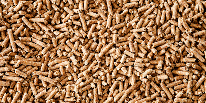 0425_webiste_c-canva_pellets_Klubovy_von_Getty_Images.webp